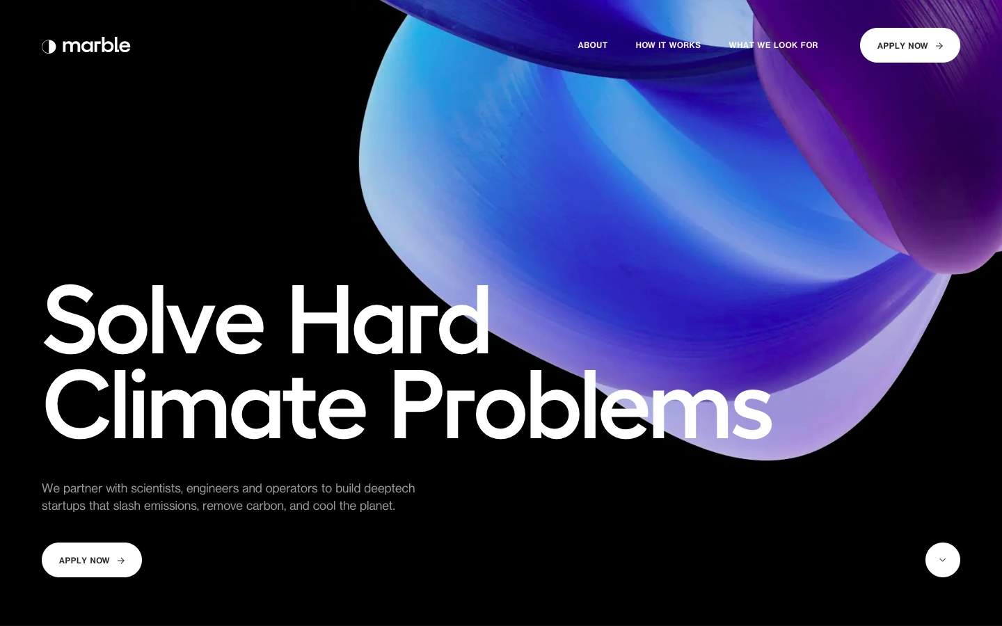 What we like about Marble Studio's website